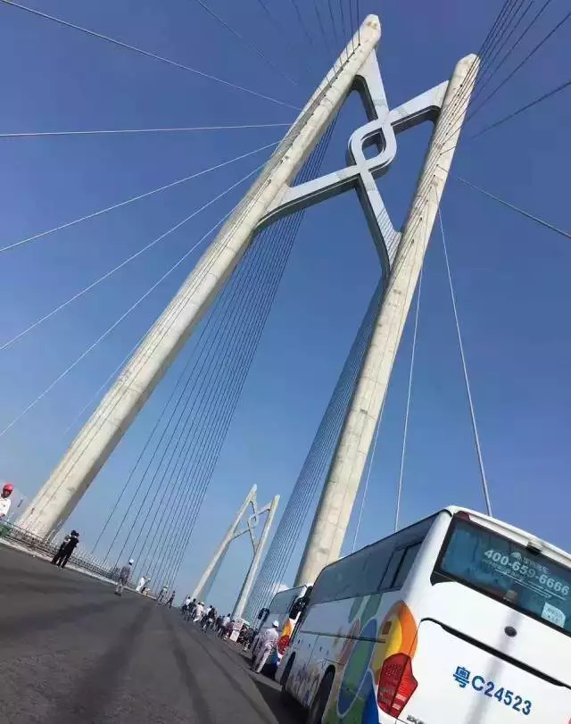 港珠澳大桥公共交通